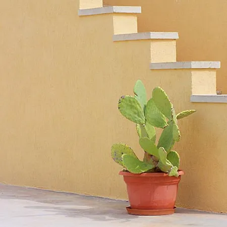 Lu Vientu Vakantiehuis Torre Pali