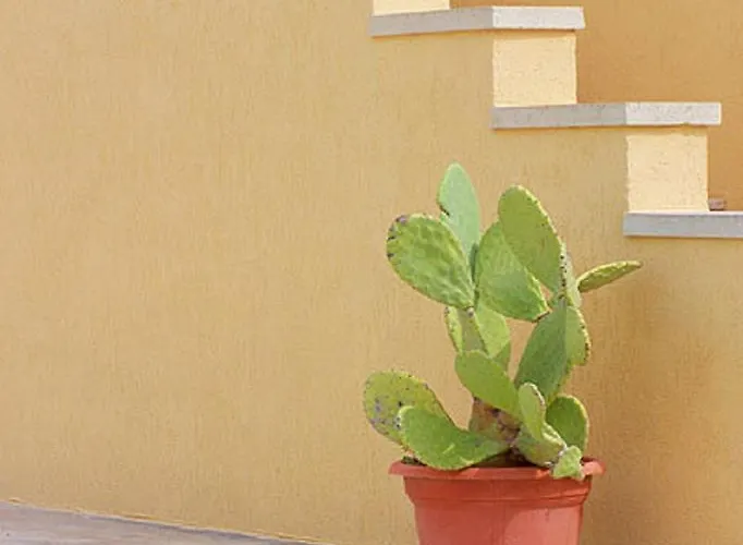 Lu Vientu 度假居 Torre Pali